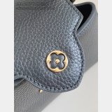 Louis Vuitton Capucines Mini M14177 Black Luxury Handbags