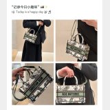 Designer Replica Dior Book Tote 1286/9024 Replica Handbag Store Paris Oblique Bag