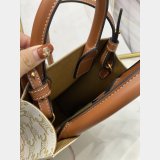 Replica Handbag Store CELINE Triomphe Mini Cabas bags