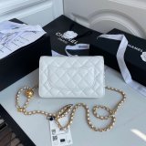 Replica 19CM Iridescent Wallet On Chain WOC AP1450 Bag