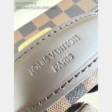Louis Vuitton 1:1 Mirror Sawagani Trunk N40765 Bag
