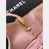 Spring-Summer 2025 Pre-collectsion AS4133 31 Mini Shopping Copy Bag