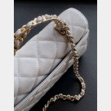 AAA+ AP3238 Flap Phone Holder With Chain Grained Shiny Bag