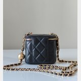 Fashion AP1447/AP2303 Vanity Of The 2024/25 Metiers Bag