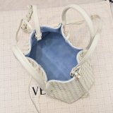 BOTTEGA VENETA 2025 Pinacoteca Handbag