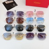 2025 Hot Selling Cartier Sunglasses CT0549S