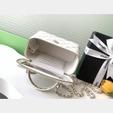 Long Vanity AP4452 Copy 2025 Spring-Summer Chain Bag