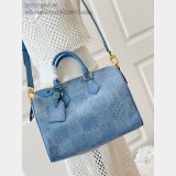 Louis Vuitton Speedy 30 Bandoulière Damier Other N00203 Bag