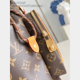 Montsouris Cargo Backpack Louis Vuitton M14015 Luxury G69 Brown