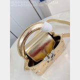 Louis Vuitton Capucines Designer 7 Star M48865 Golden Baby's Breath Bag