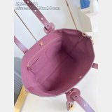 Louis Vuitton All In One PM M25858/M25890 Monogram Empreinte Bag