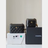 Fashion AP1447/AP2303 Vanity Of The 2024/25 Metiers Bag