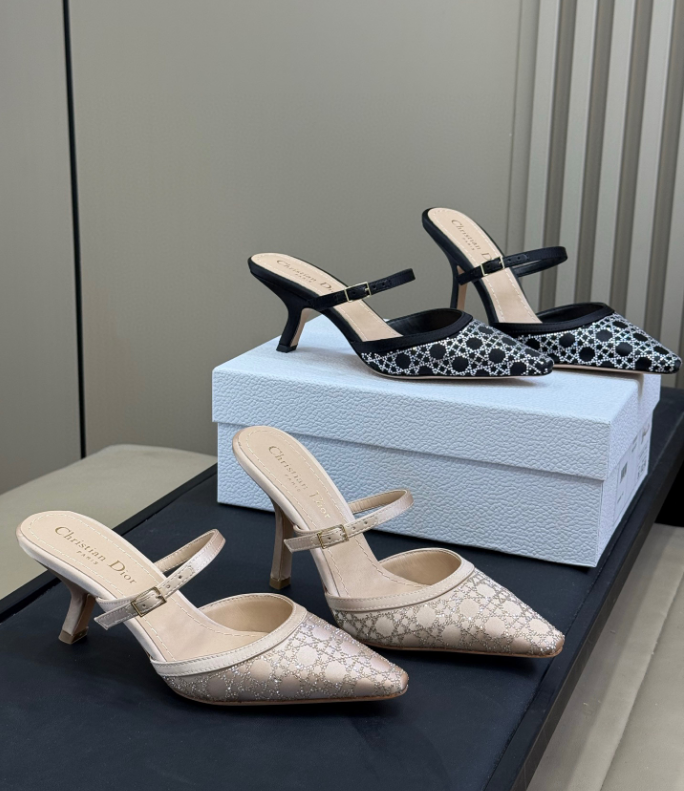 Dior Capture Heeled Mule