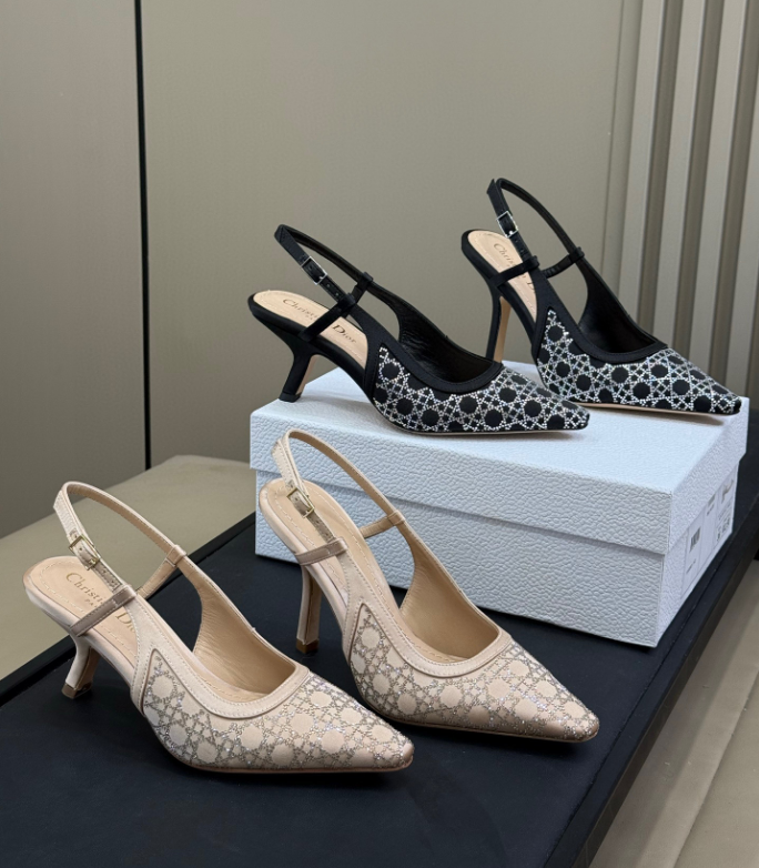 Dior Capture Slingback Pump