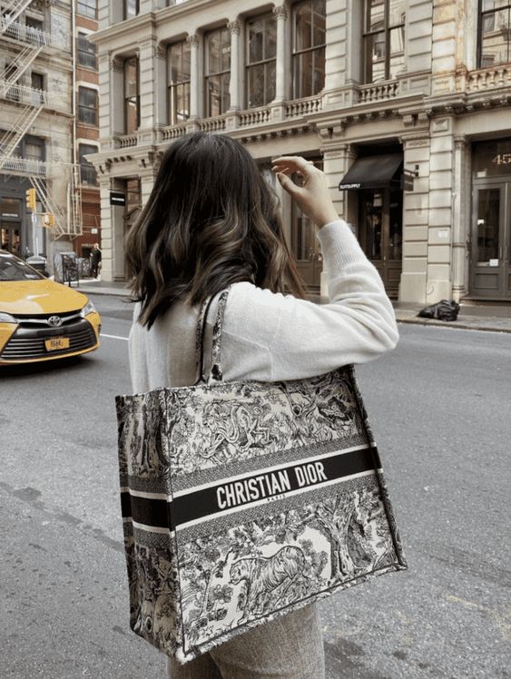 dior bag copy